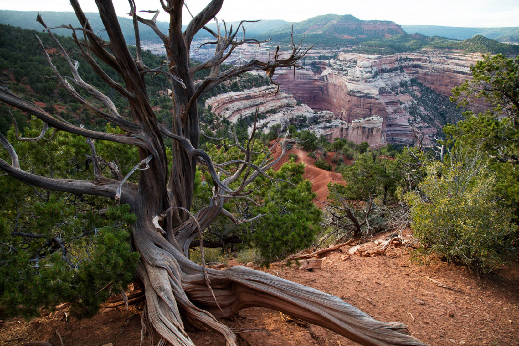 Praising the Proclamation of Bears Ears National Monument Steve McIntosh Official site