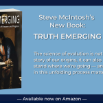 Now Available: My New Book, Truth Emerging